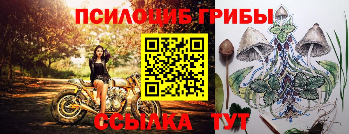 Галлюциногенные грибы Magic Shrooms Бийск